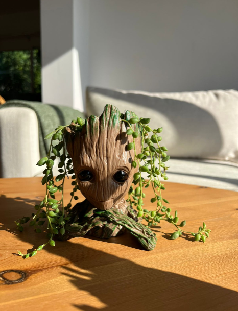 Baby Groot collection