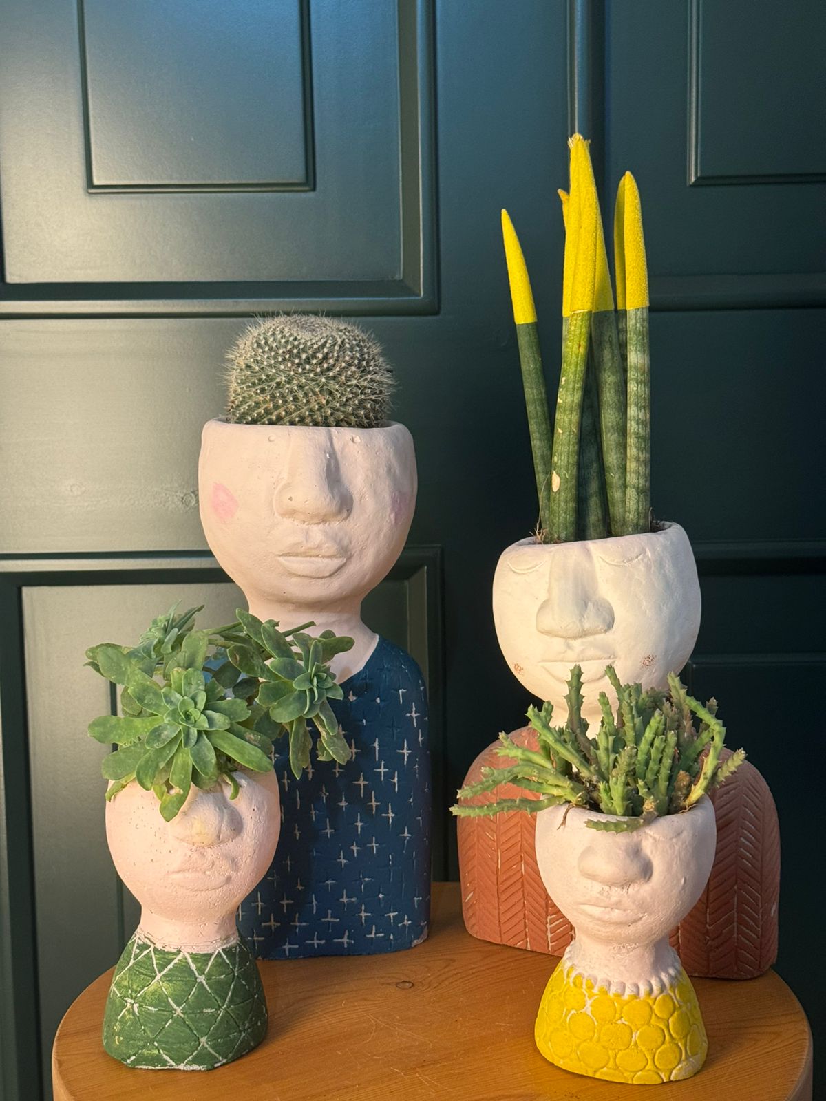 MuseoPots family