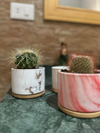 Marble Pots